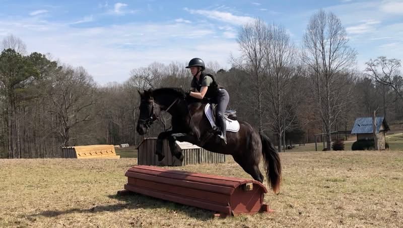 https://www.marigoldstables.com/wp-content/uploads/2026/05/IMG_9561.jpg