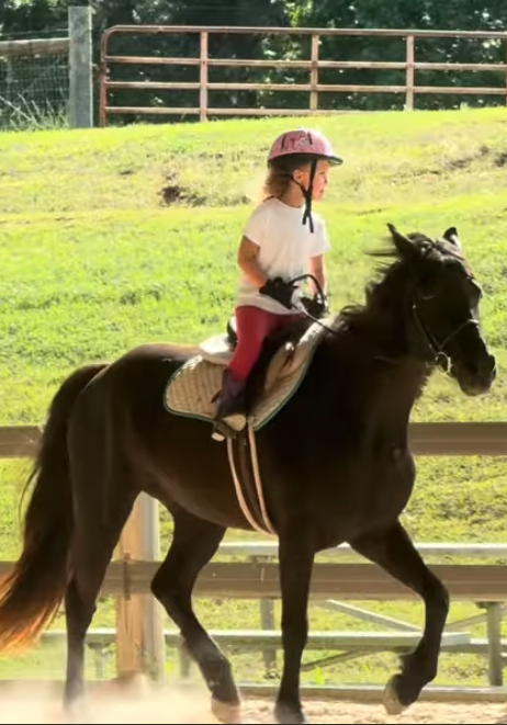https://www.marigoldstables.com/wp-content/uploads/2026/05/Screenshot-2026-05-21-at-10.31.32-AM.png