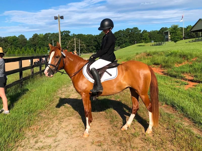 https://www.marigoldstables.com/wp-content/uploads/2026/07/IMG_0456.jpg