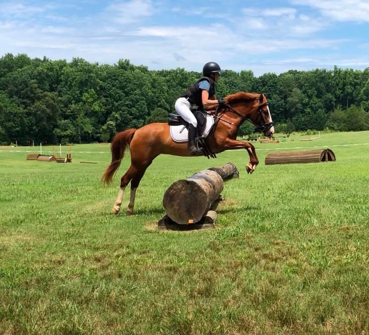 https://www.marigoldstables.com/wp-content/uploads/2026/07/IMG_0457.jpg