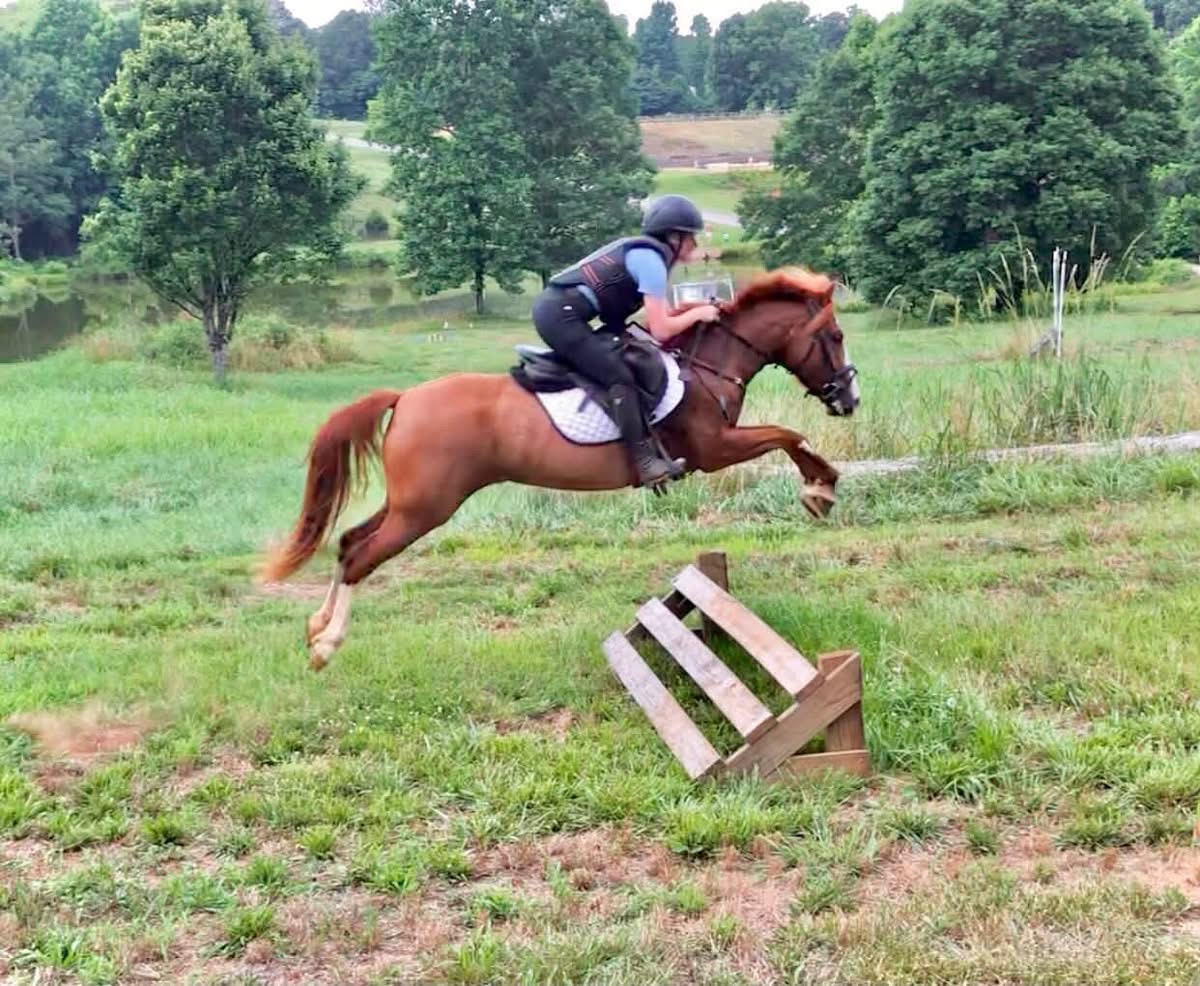 https://www.marigoldstables.com/wp-content/uploads/2026/07/IMG_0458.jpg
