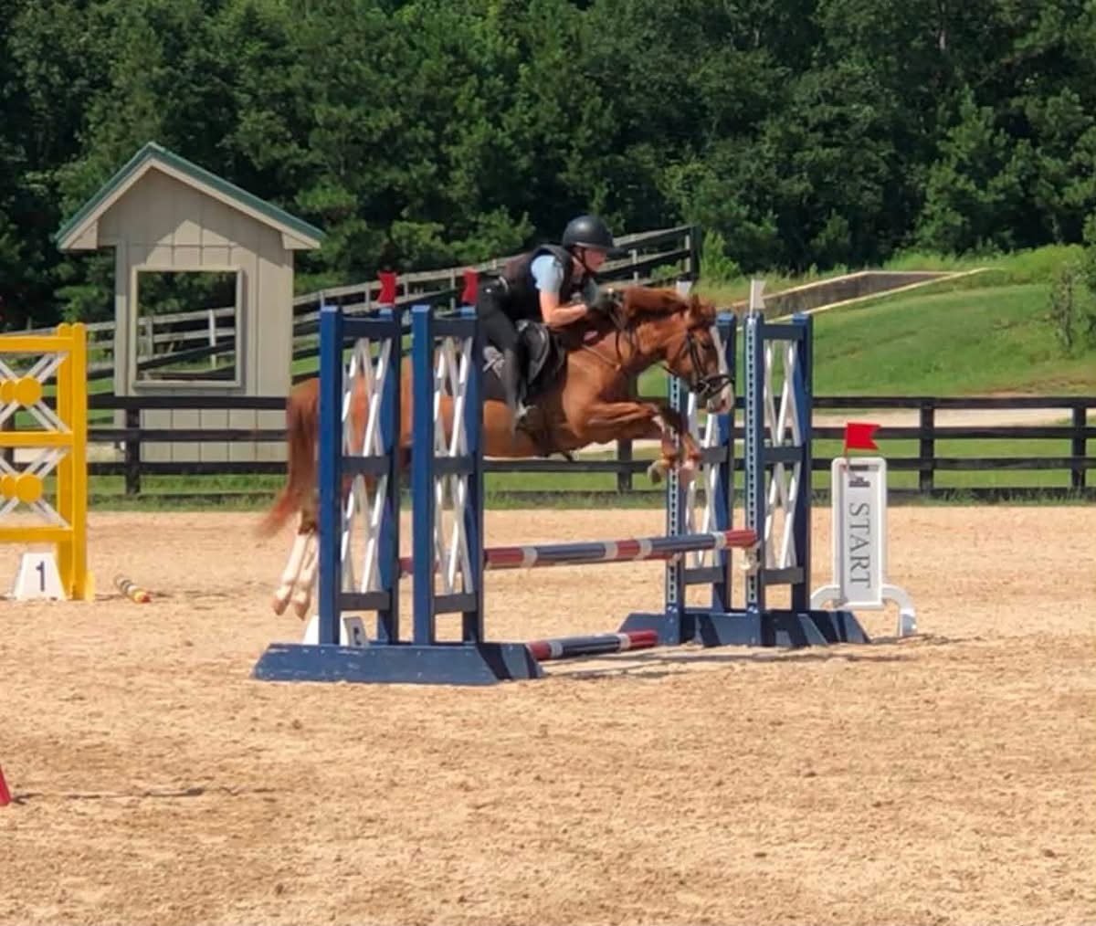 https://www.marigoldstables.com/wp-content/uploads/2026/07/IMG_0459.jpg
