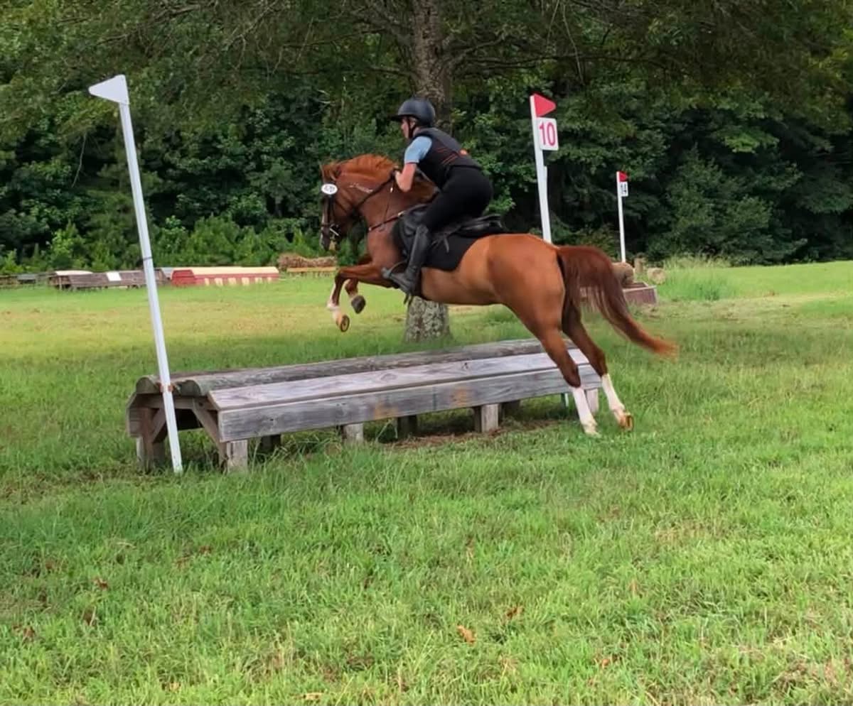 https://www.marigoldstables.com/wp-content/uploads/2026/07/IMG_0460.jpg