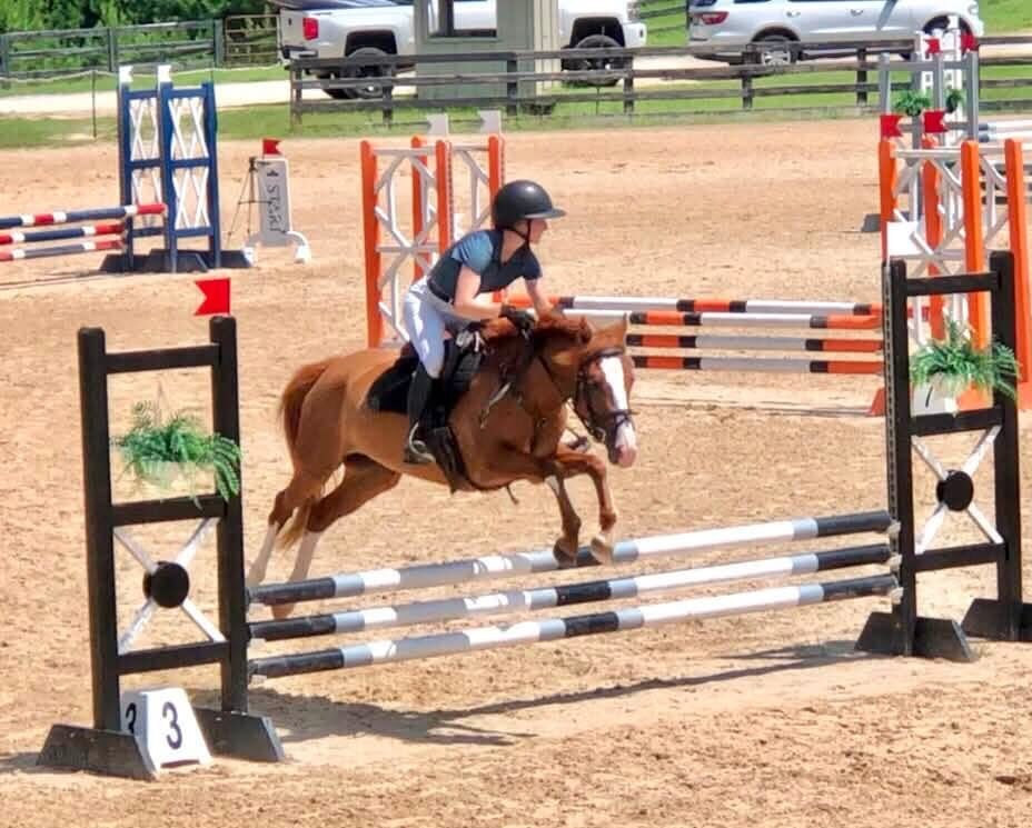 https://www.marigoldstables.com/wp-content/uploads/2026/07/IMG_0462-e1784667011672.jpg