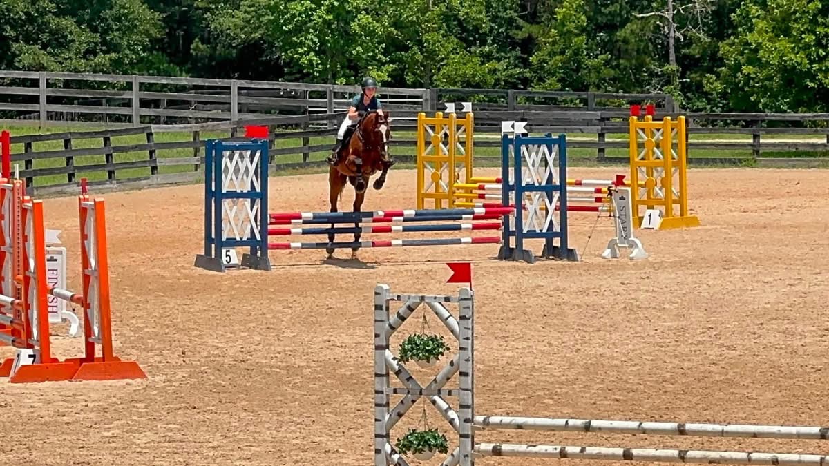 https://www.marigoldstables.com/wp-content/uploads/2026/07/image2.jpeg